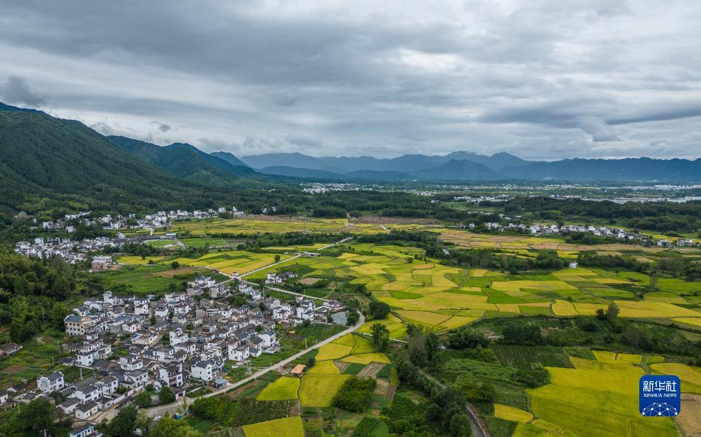 抢庄牛牛棋牌安卓版